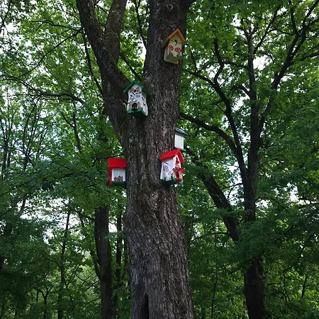 Apartment Premium Eleni Rooms,oaza Mira I Tisine U Centru Vrnjacke Banje Vrnjačka Banja